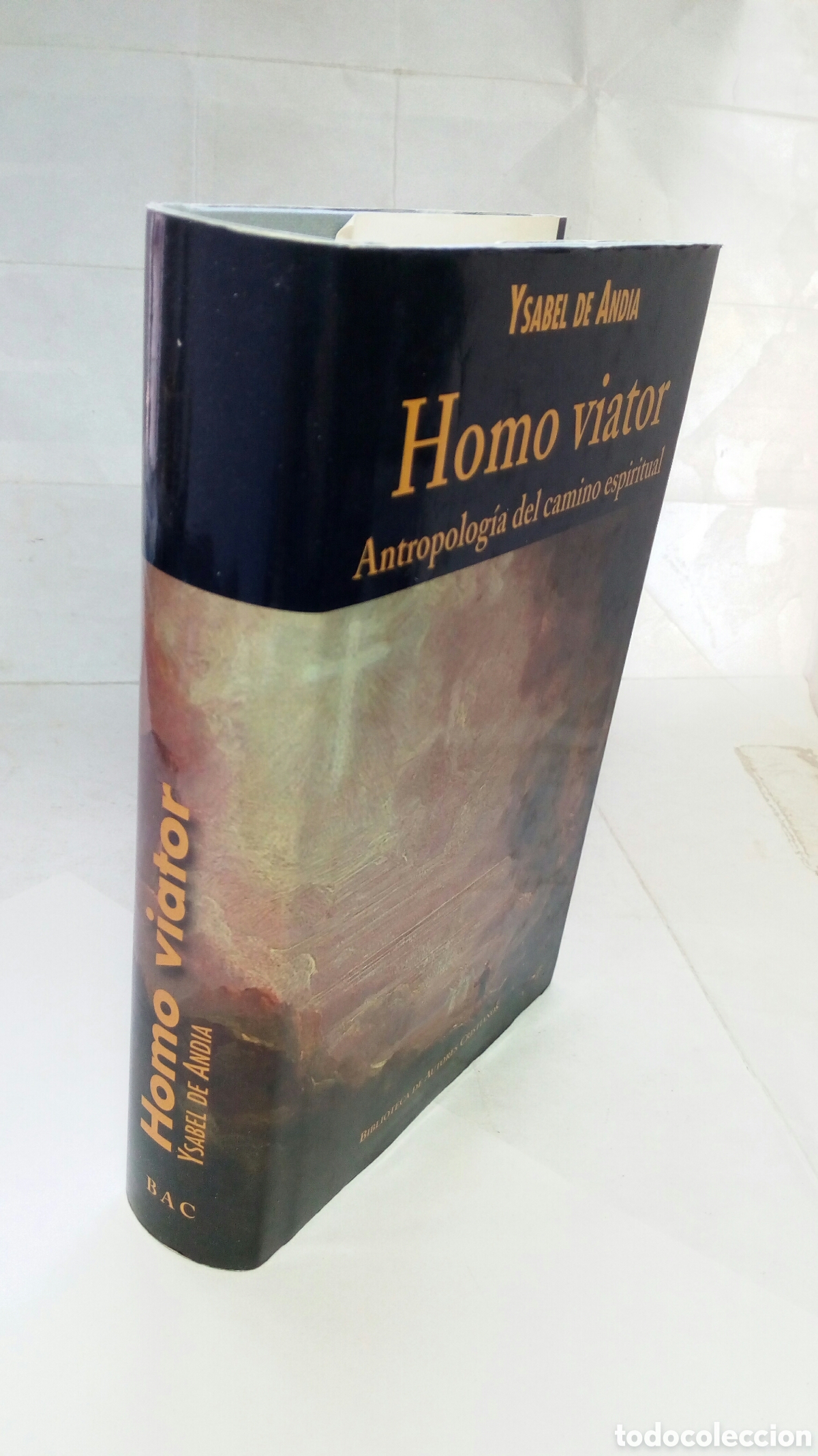 Libros de segunda mano: Homo viator. Ysabel de Andia. - Foto 16