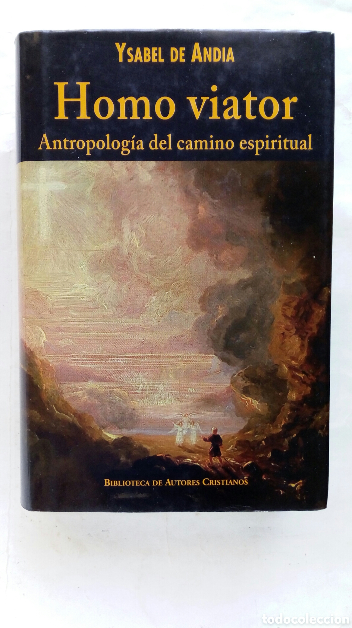 Libros de segunda mano: Homo viator. Ysabel de Andia. - Foto 1
