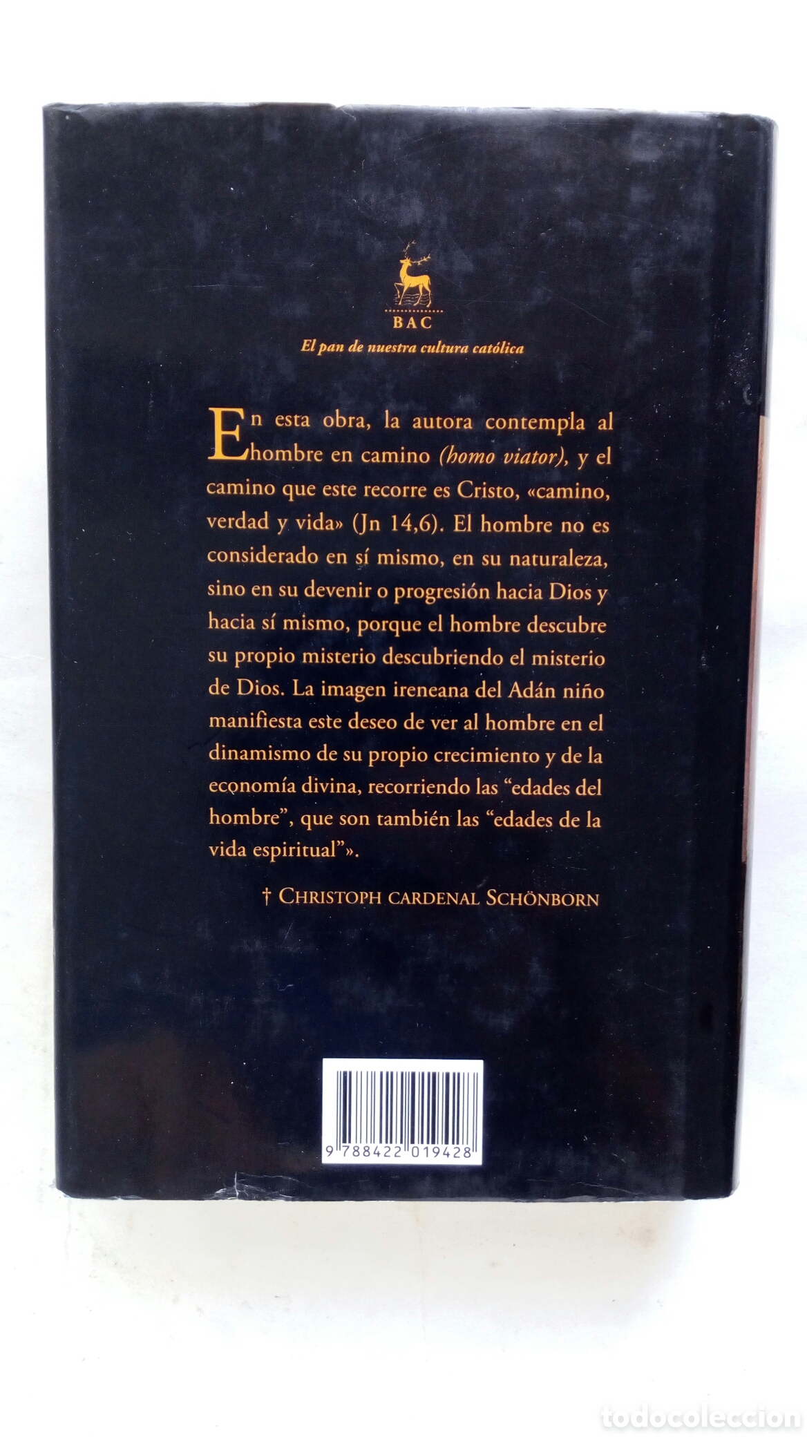 Libros de segunda mano: Homo viator. Ysabel de Andia. - Foto 2