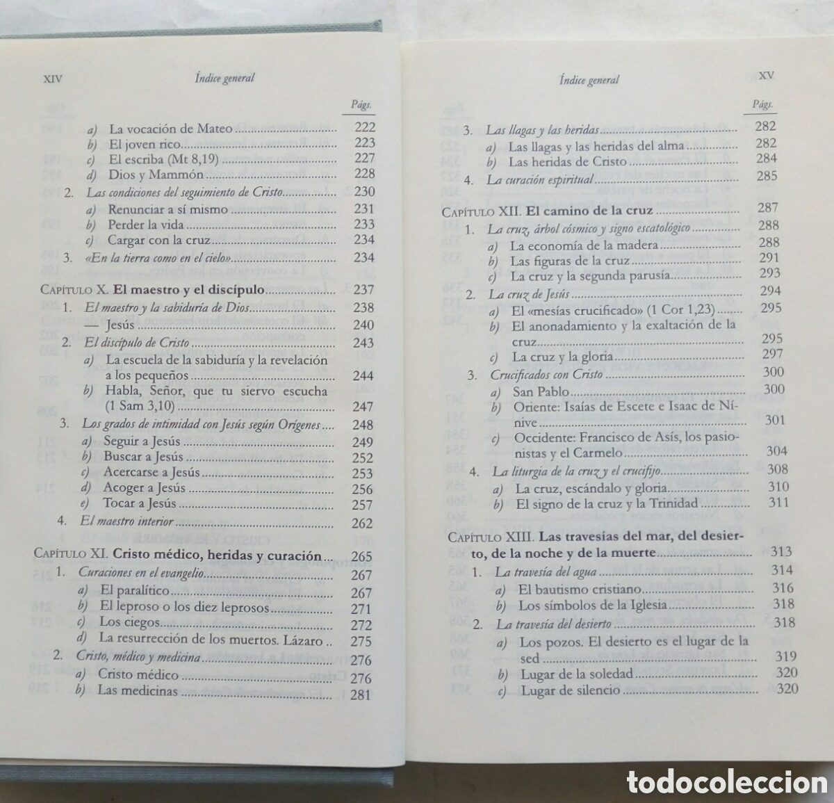 Libros de segunda mano: Homo viator. Ysabel de Andia. - Foto 8