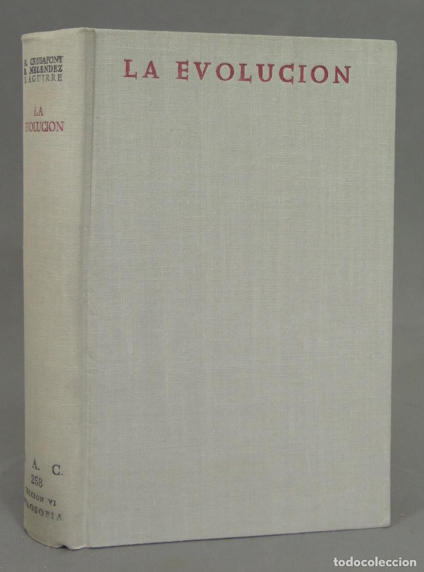 Libros de segunda mano: La evoluci&oacute;n. Crusafont Pair&oacute;. BAC. 1966 - Foto 1