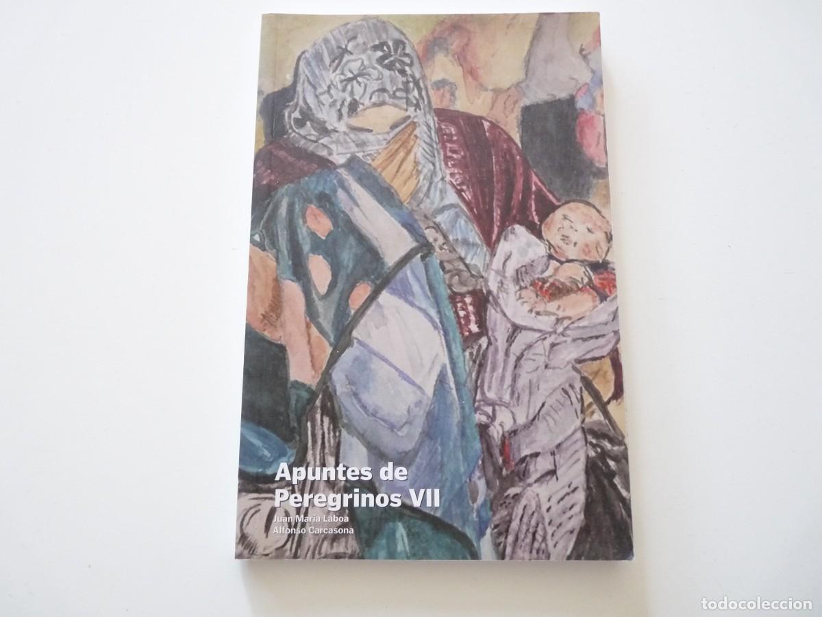 Gebrauchte B&uuml;cher: APUNTES DE PEREGRINOS VII de JUAN MAR&Iacute;A LISBOA Y ALFONSO CARCASONA REF: 1-73