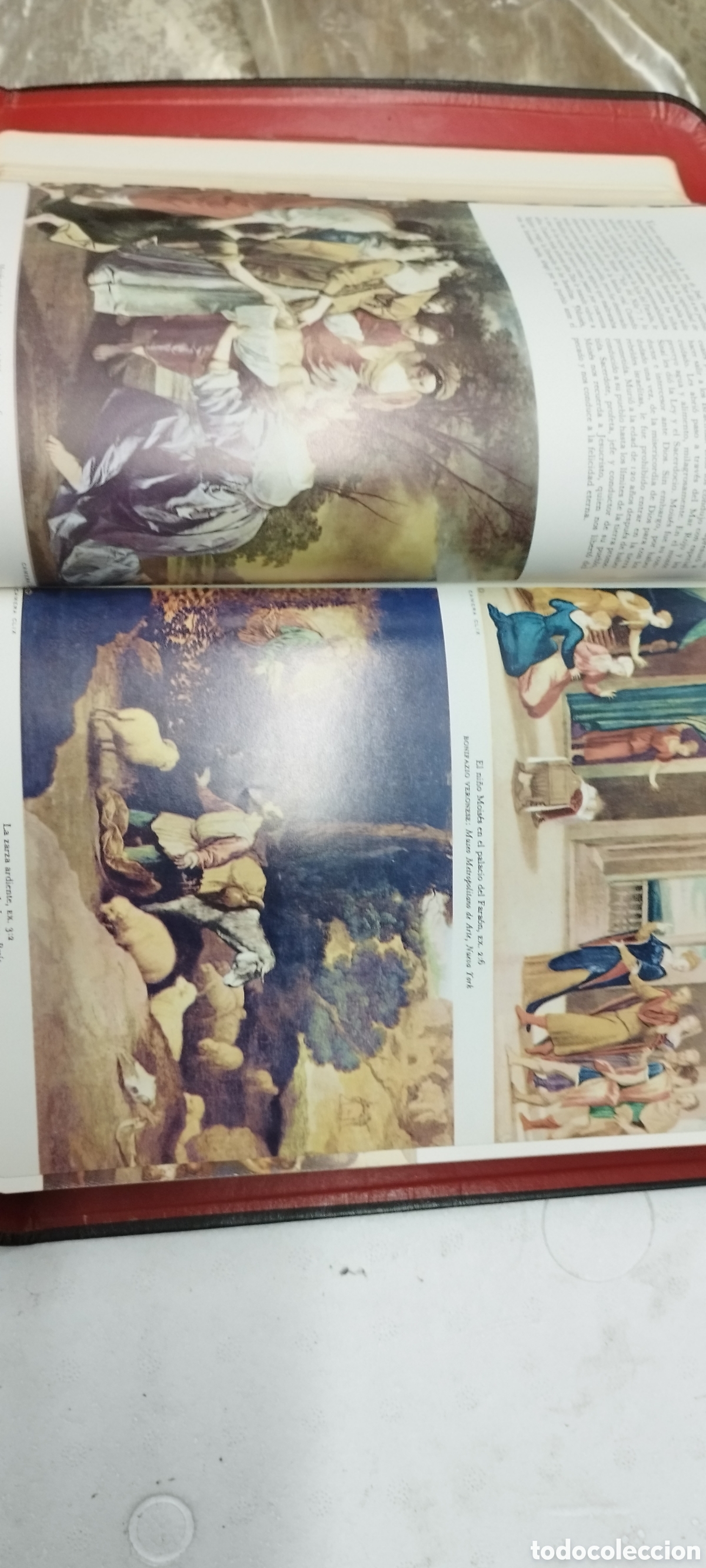 Libros de segunda mano: sagrada biblia ecumenica - Foto 5