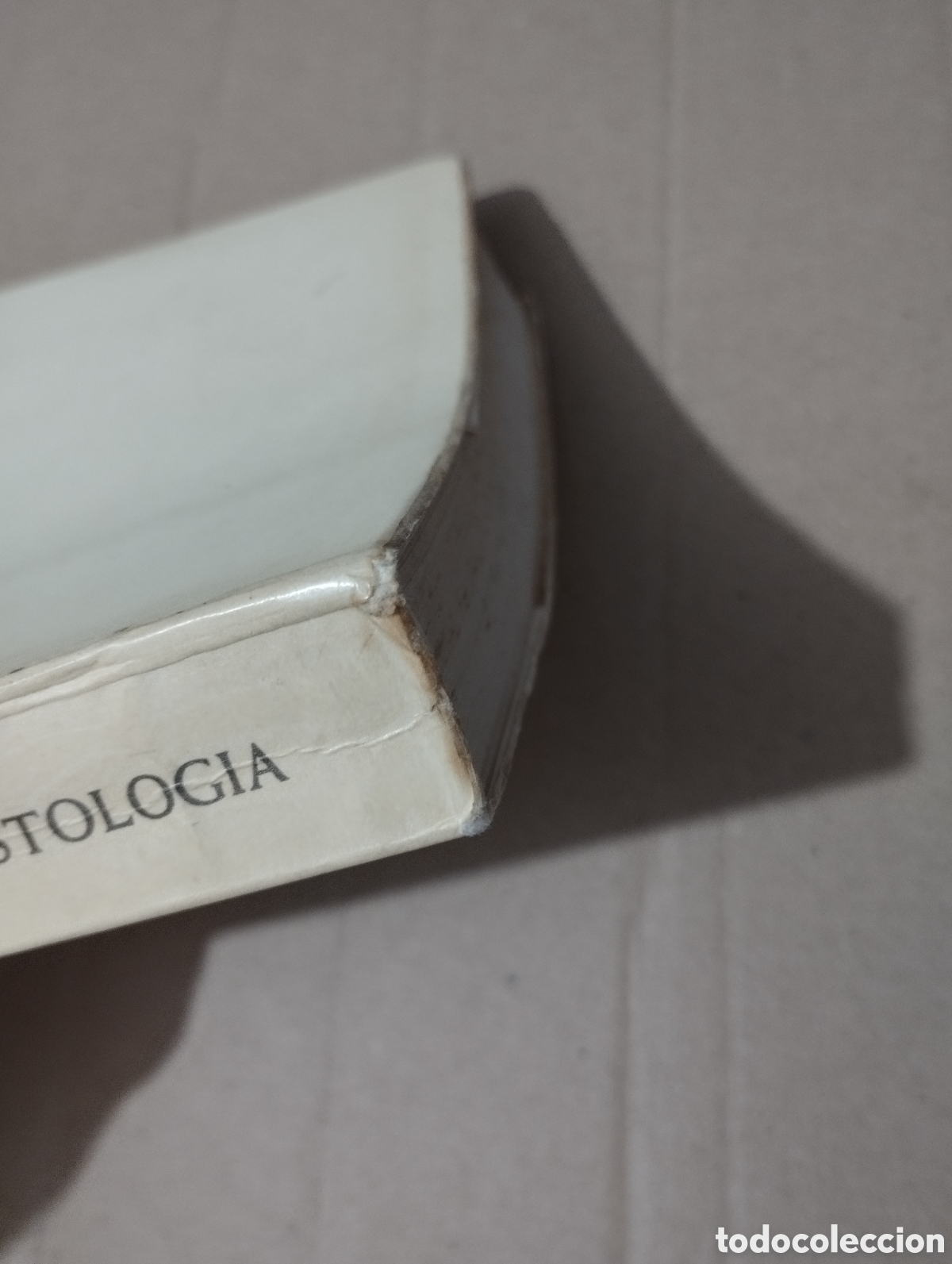 Libros de segunda mano: FUNDAMENTOS DE CRISTOLOG&Iacute;A (WOLFHART PANNENBERG) - Foto 2