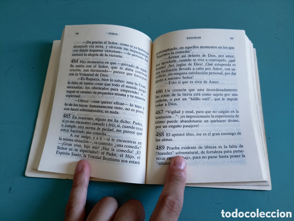 Libros de segunda mano: Forja. Jos&eacute;Mar&iacute;a Escriv&aacute; de Balaguer. - Foto 2