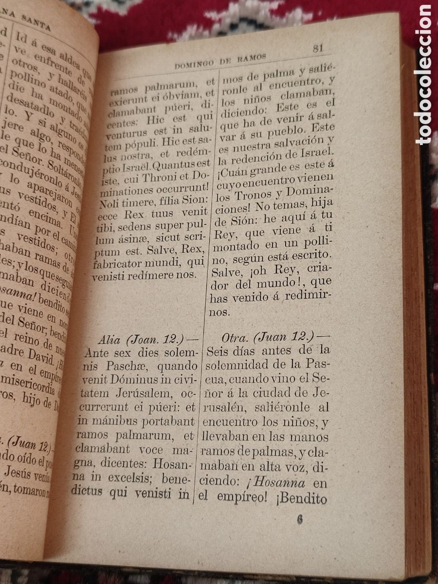 Libros de segunda mano: Semana Santa 1900 Pedro G&oacute;mez - Foto 7