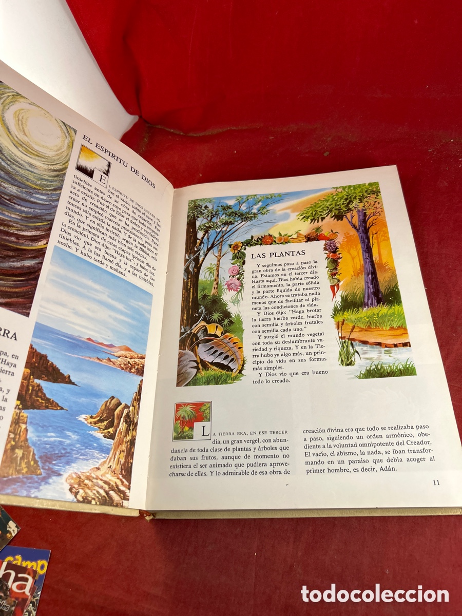 Libros de segunda mano: LA BIBLIA EN IM&Aacute;GENES - Foto 3