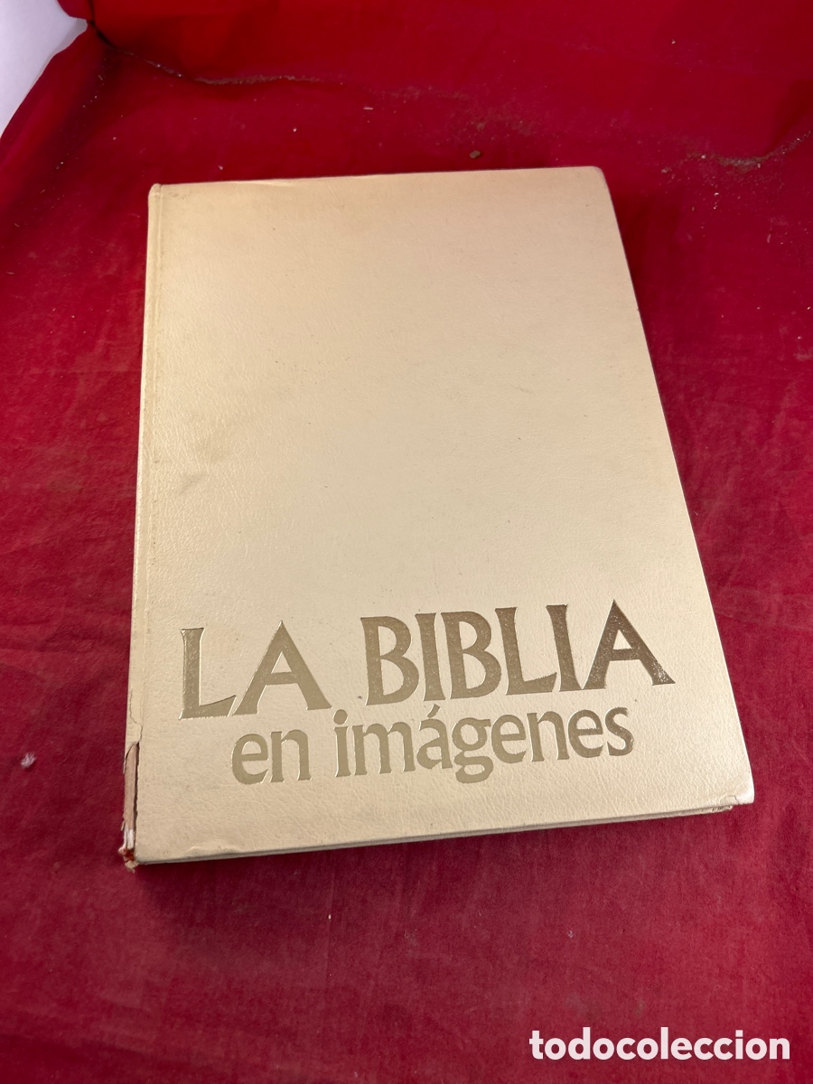 Libros de segunda mano: LA BIBLIA EN IM&Aacute;GENES - Foto 1