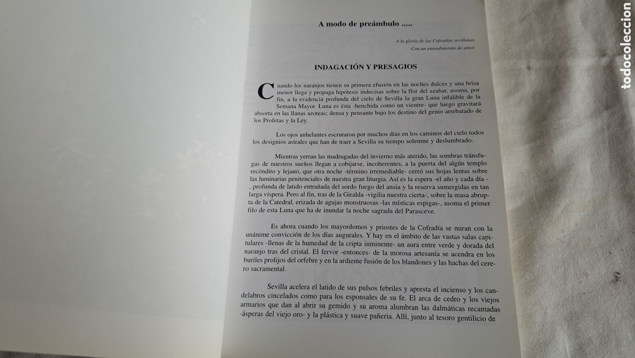 Libros de segunda mano: SEMANA SANTA DE SEVILLA 2002 - Foto 5