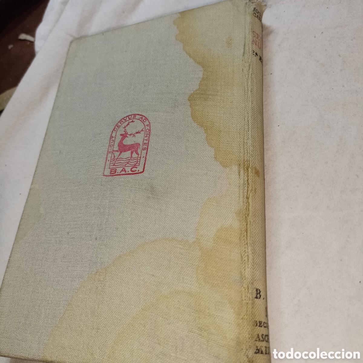 Libros de segunda mano: Se&ntilde;ora nuestra Jos&eacute; Mar&iacute;a cabodevilla 2 edici&oacute;n BAC - Foto 2