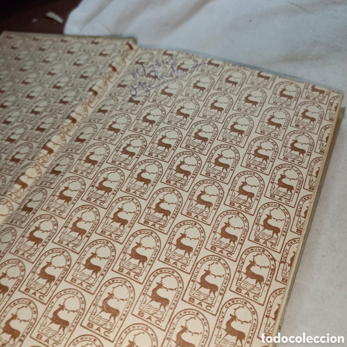 Libros de segunda mano: Se&ntilde;ora nuestra Jos&eacute; Mar&iacute;a cabodevilla 2 edici&oacute;n BAC - Foto 3
