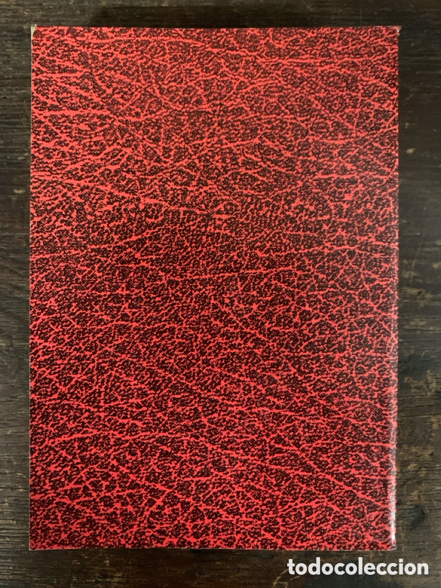 Libros de segunda mano: Nuevo Testamento, Mart&iacute;n S&aacute;nchez - 1992 - Foto 3