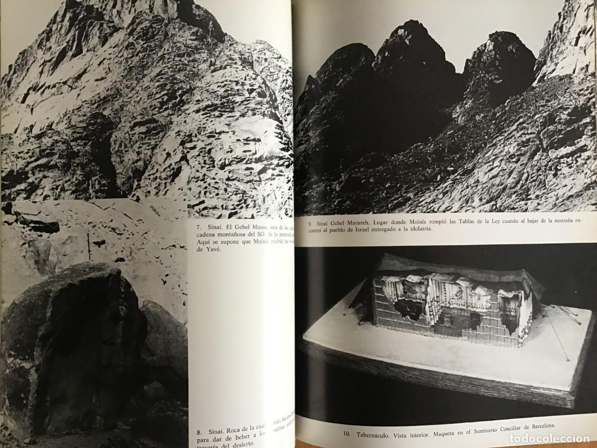Libros de segunda mano: LA BIBLIA / EDICIONES GINER 1970 - Foto 11
