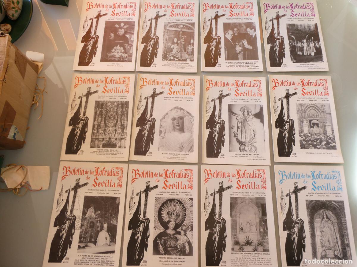 Second hand books: 12 / 12 REVISTAS RELIGIOSAS SEMANA SANTA SEVILLA BOLET&Iacute;N COFRAD&Iacute;AS 1983 n&uacute;meros 280 a 291 500GR