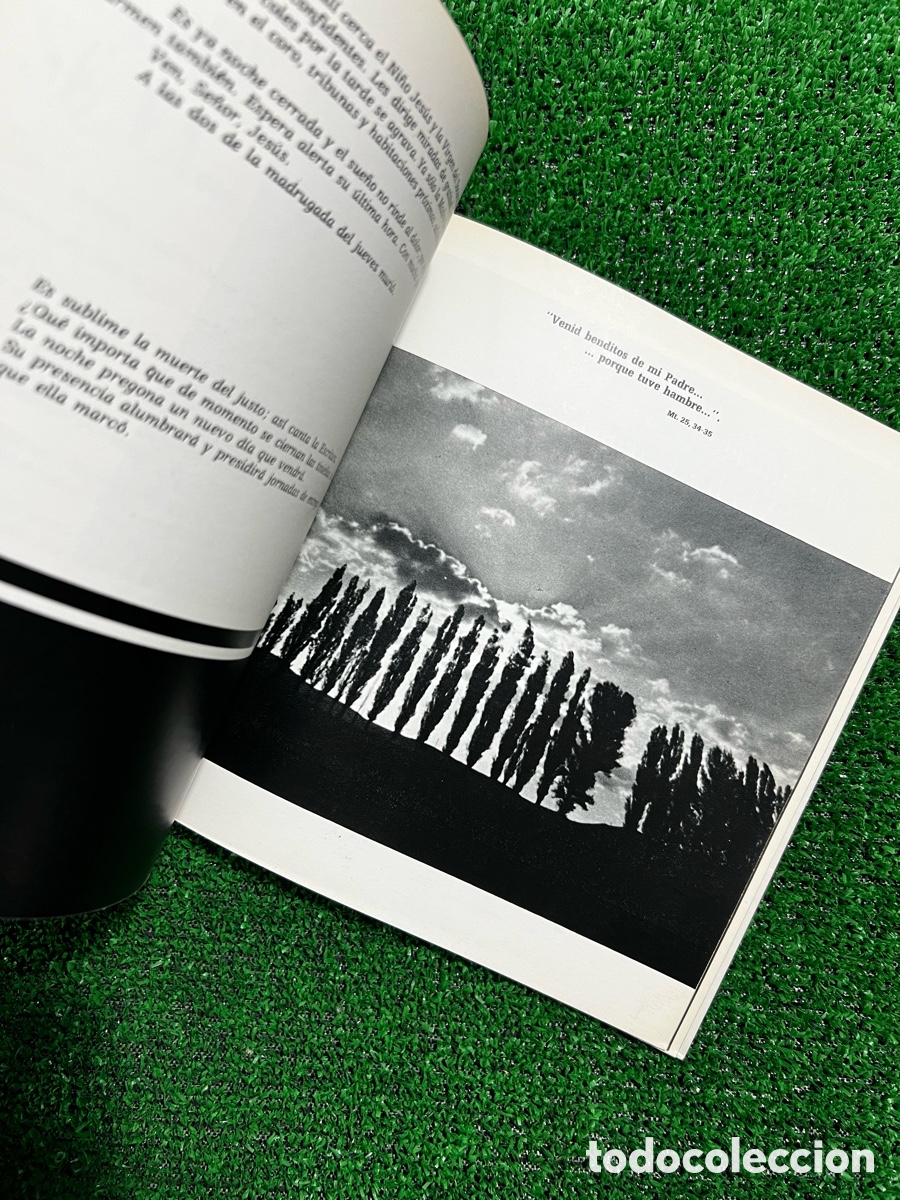 Libros de segunda mano: En busca de la sabidur&iacute;a - franciscanas de los SSCC - Foto 9