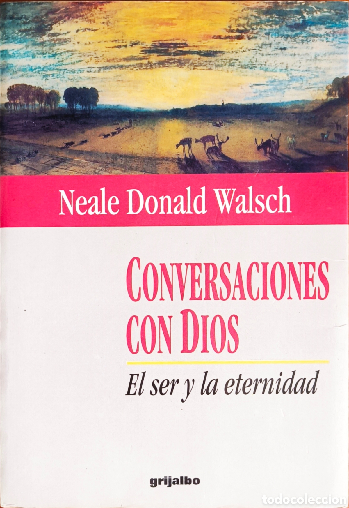 Libros de segunda mano: CONVERSACIONES CON DIOS. Neale Donald Walsh. - Foto 1
