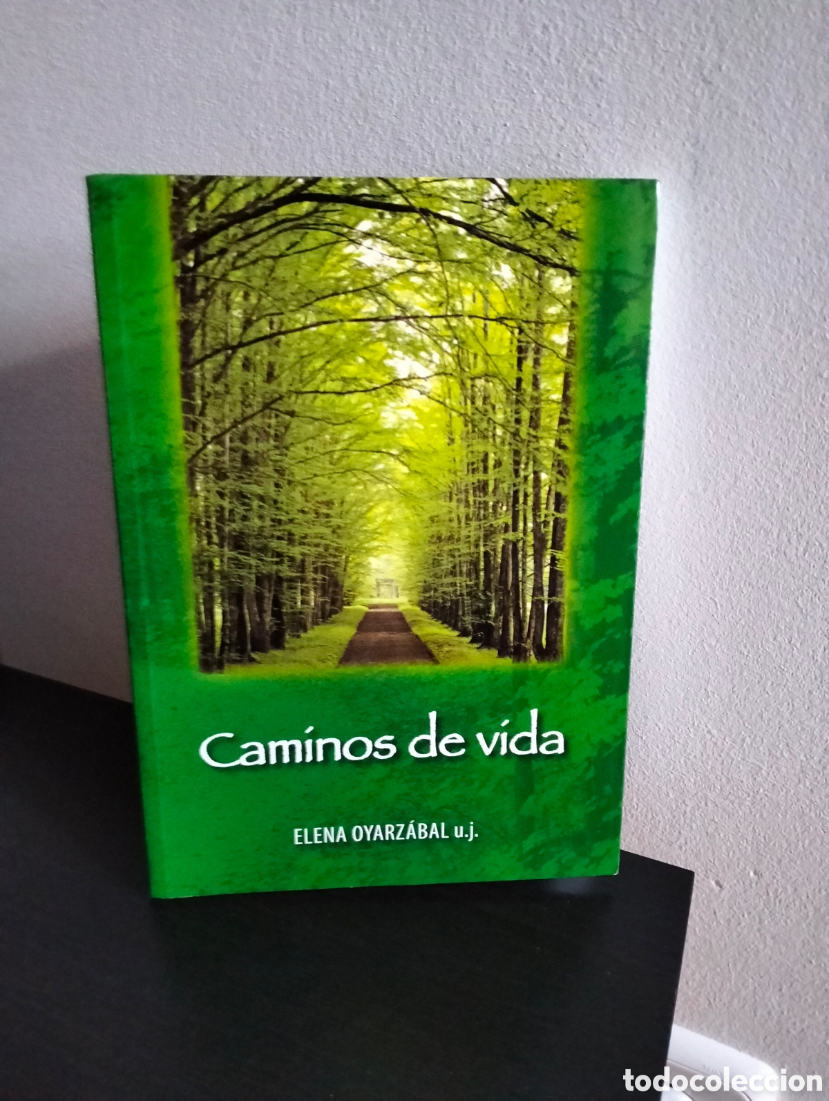Libros de segunda mano: Elena Oyarzabal - Caminos de Vida - 2014 - Foto 1