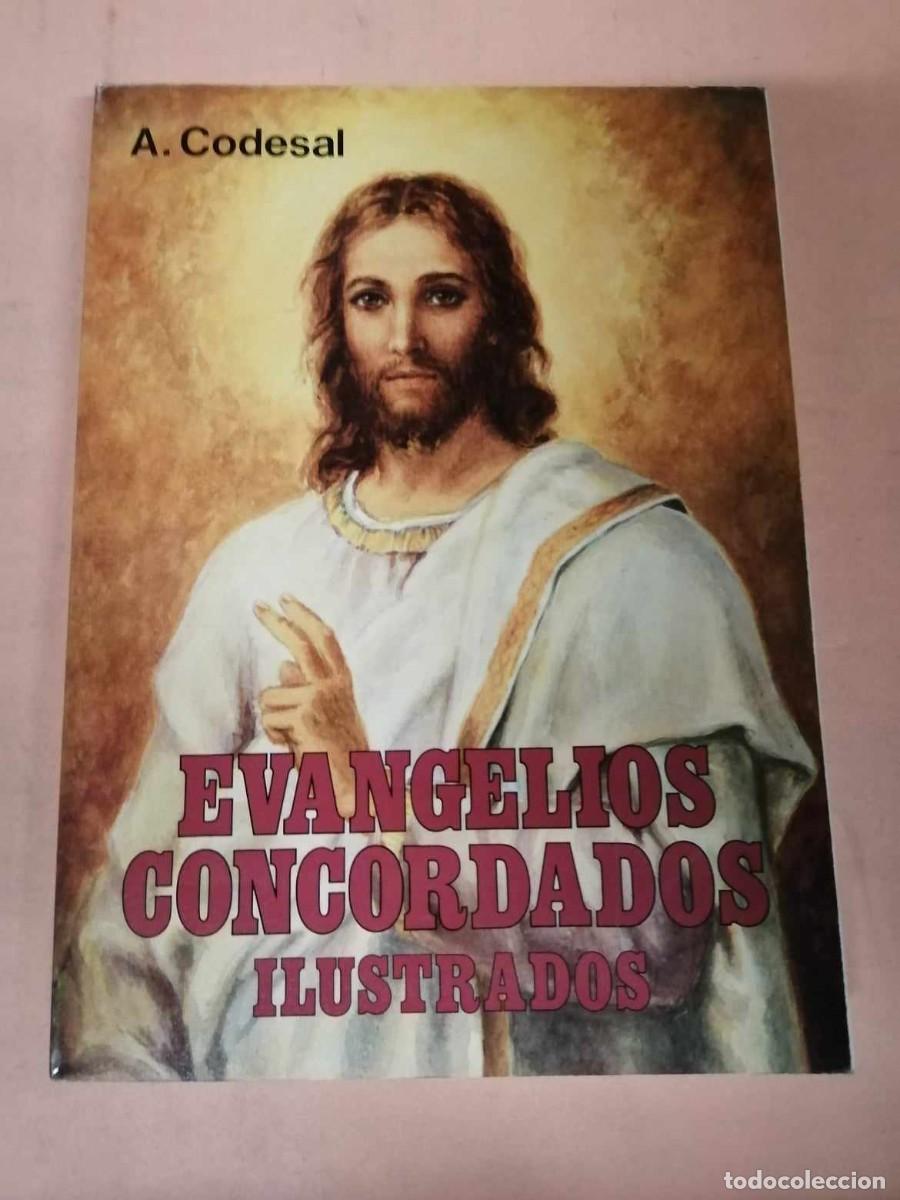 Libros de segunda mano: EVANGELIOS CONCORDADOS ILUSTRADOS (A. CODESAL) - Foto 1