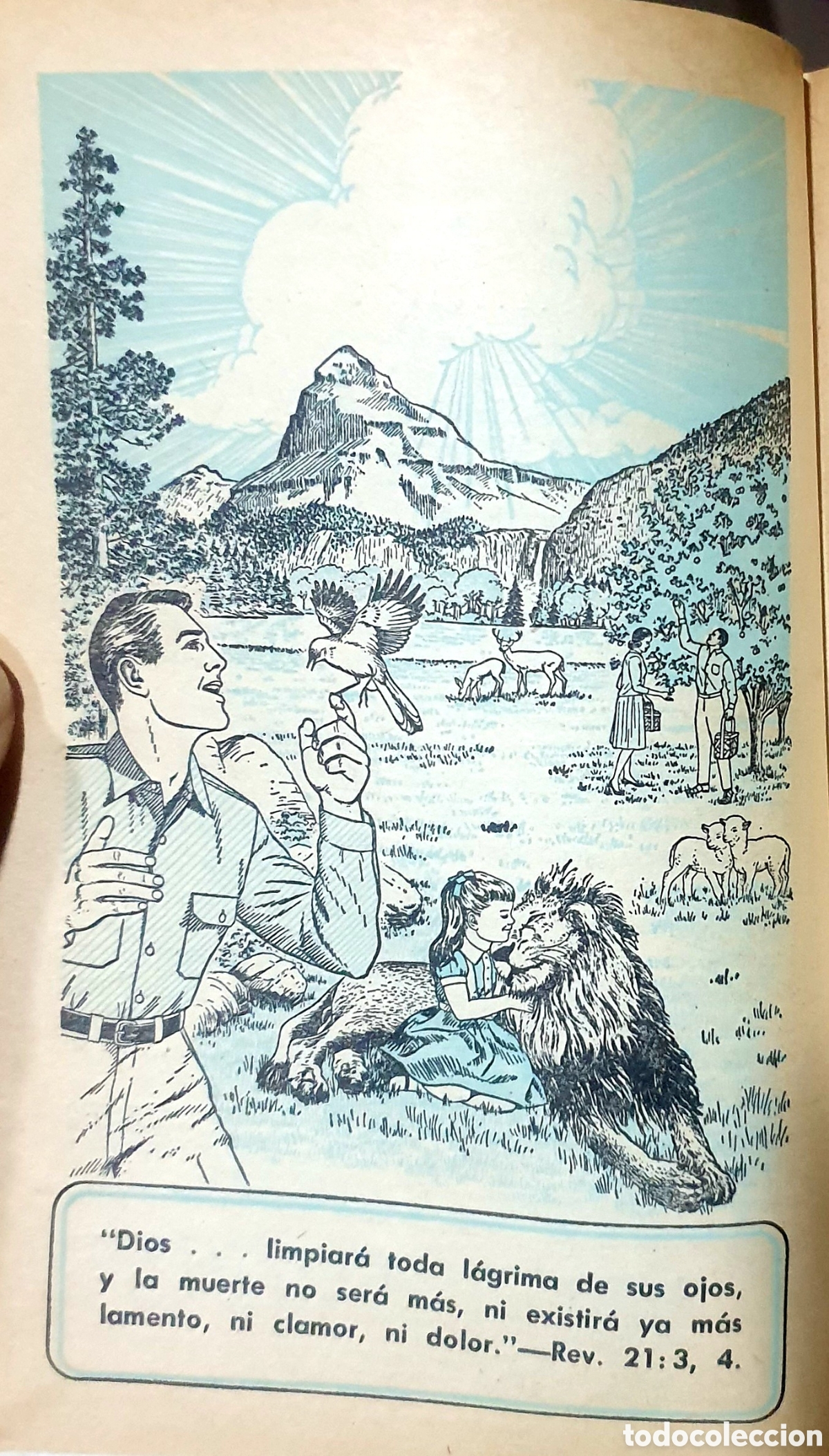 Libros de segunda mano: La Verdad que lleva a Vida Eterna, a&ntilde;o 1968 - Foto 3