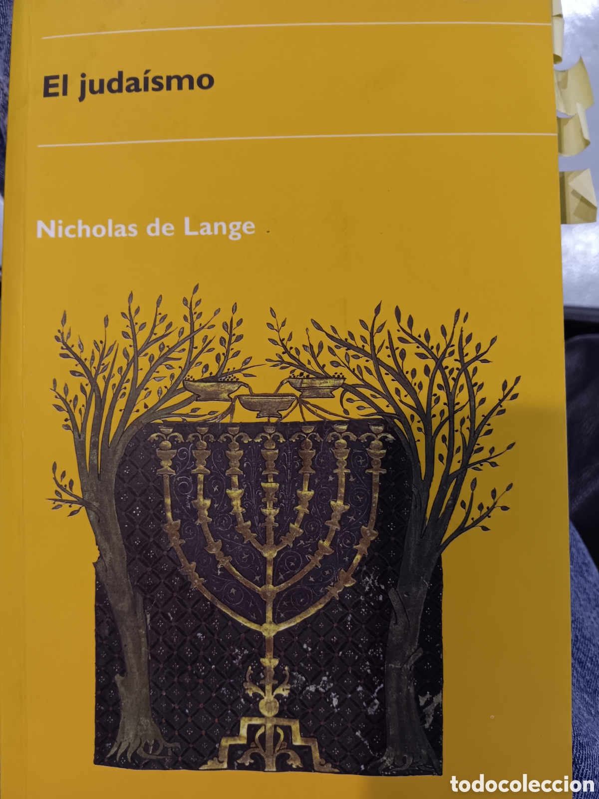 Libros de segunda mano: Nicol&aacute;s de Lange. El juda&iacute;smo - Foto 1