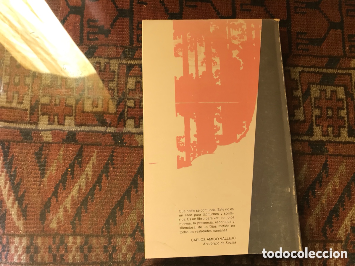 Libros de segunda mano: Desde el silencio y la soledad. Manuel S&aacute;nchez Blanco - Foto 2