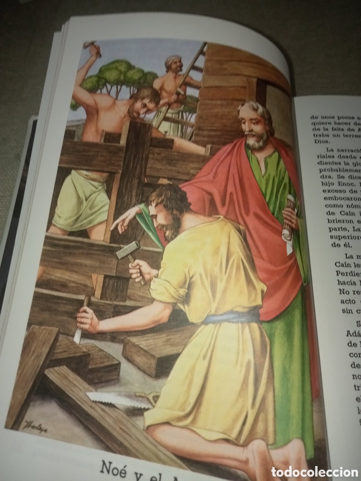 Libros de segunda mano: Biblia juvenil - Foto 8