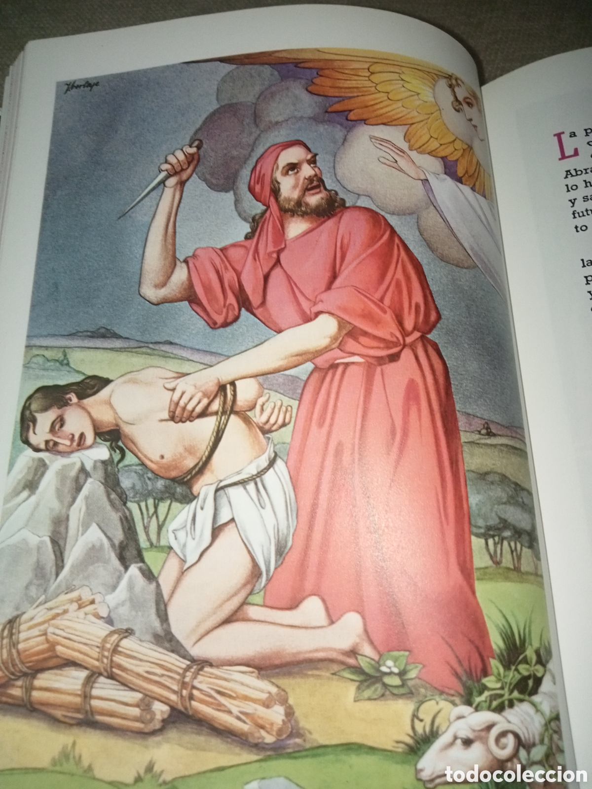 Libros de segunda mano: Biblia juvenil - Foto 11