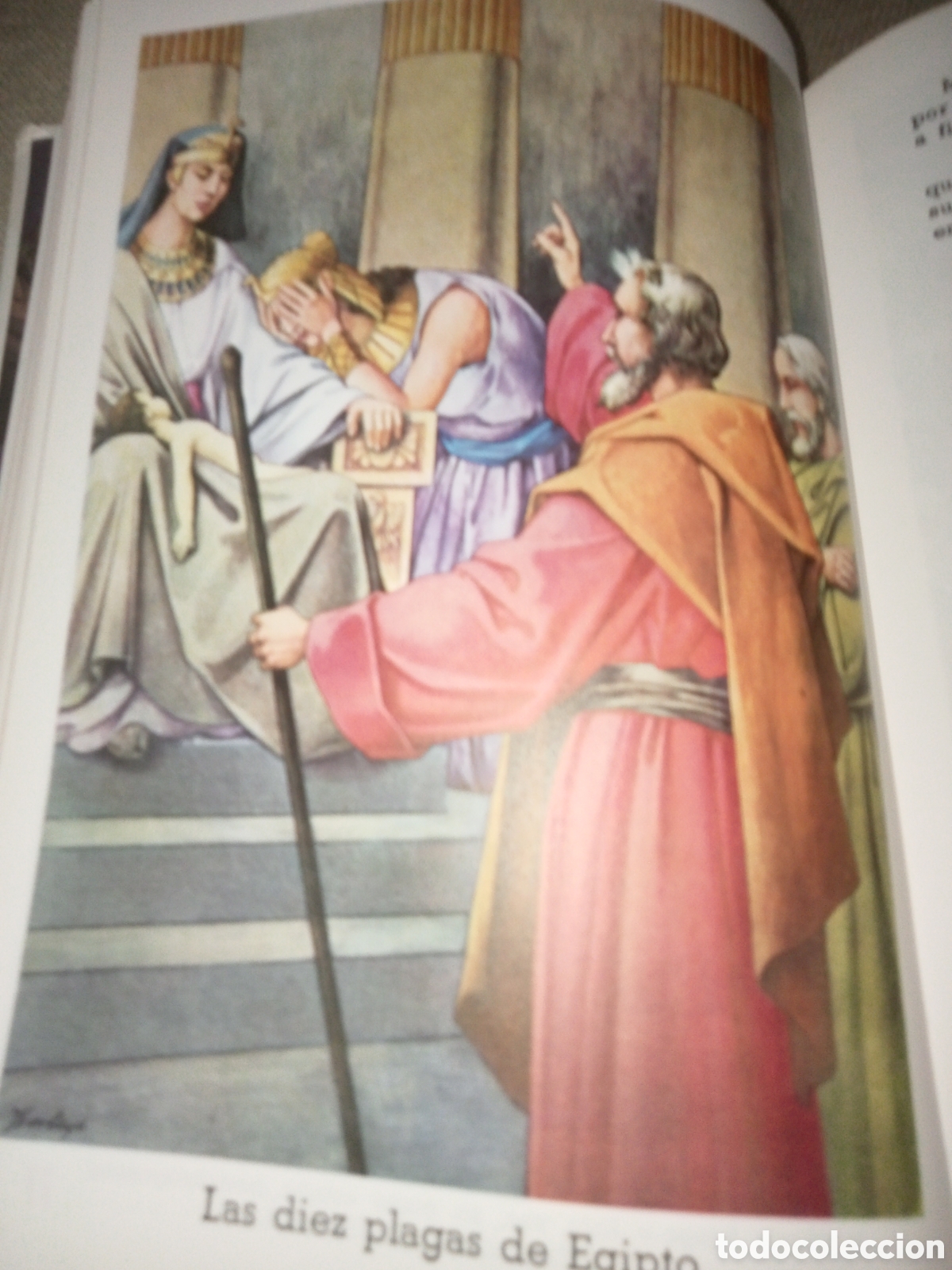 Libros de segunda mano: Biblia juvenil - Foto 13