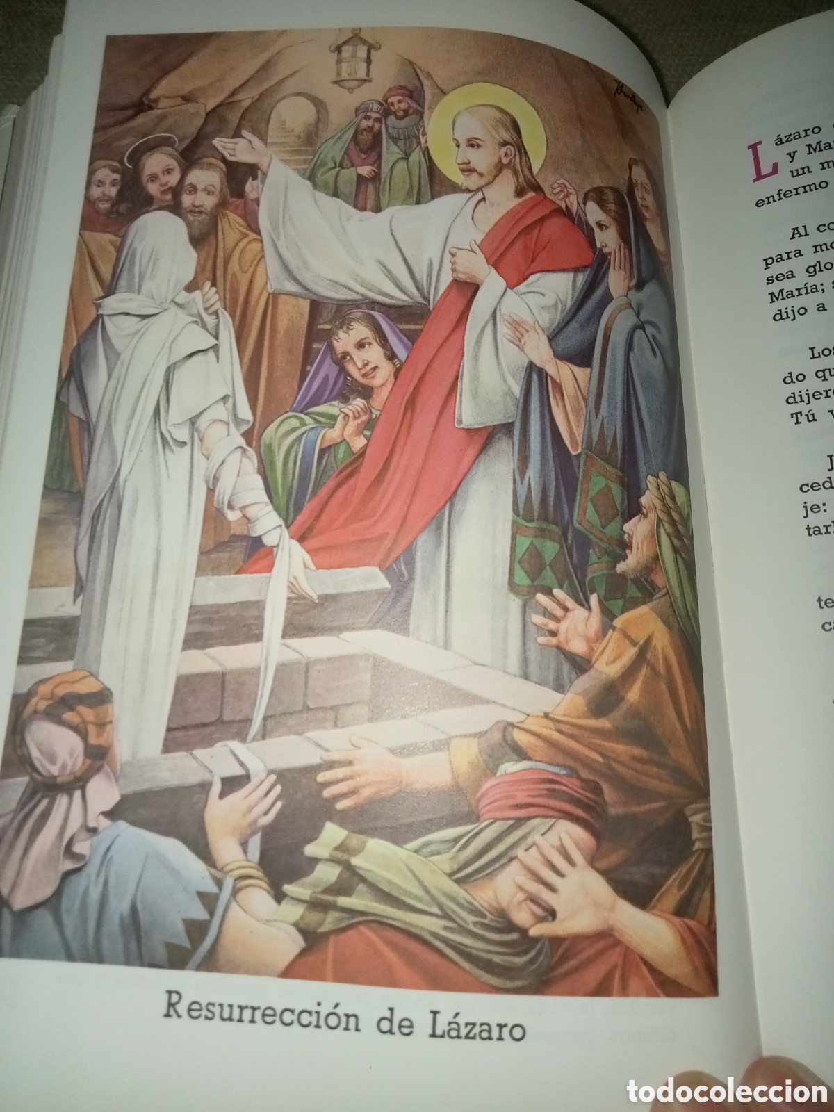 Libros de segunda mano: Biblia juvenil - Foto 15