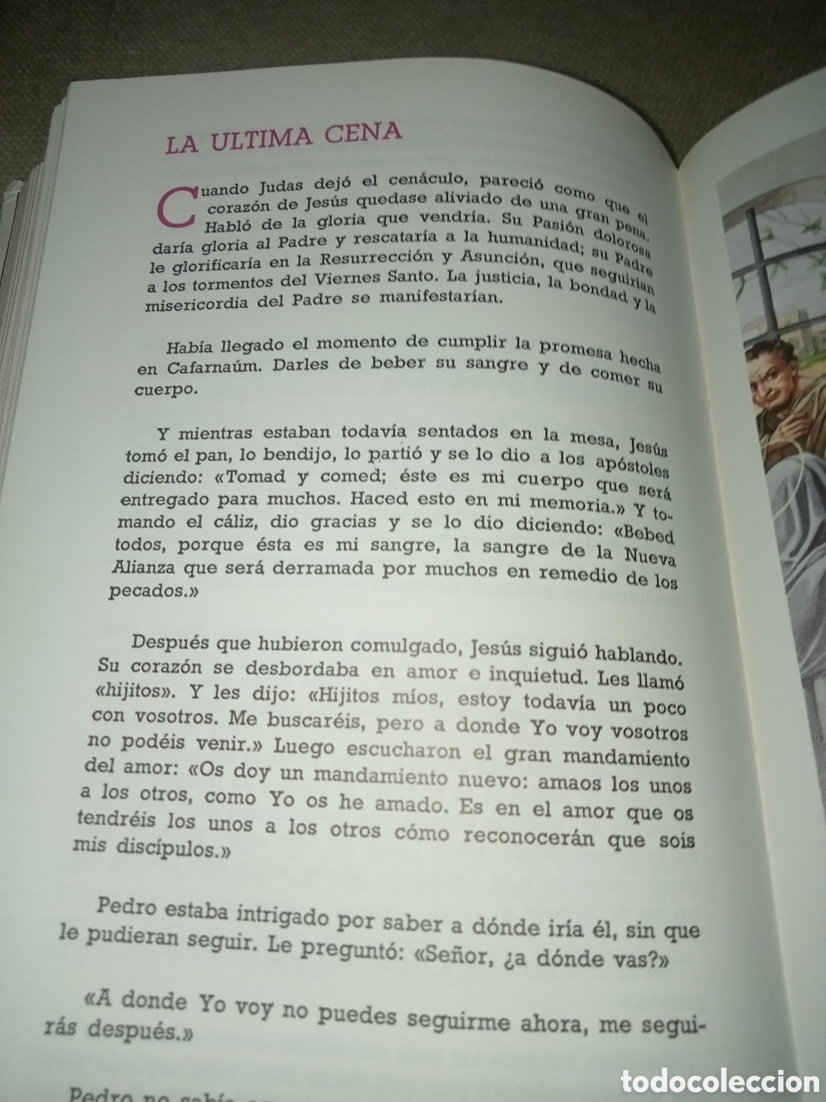 Libros de segunda mano: Biblia juvenil - Foto 16