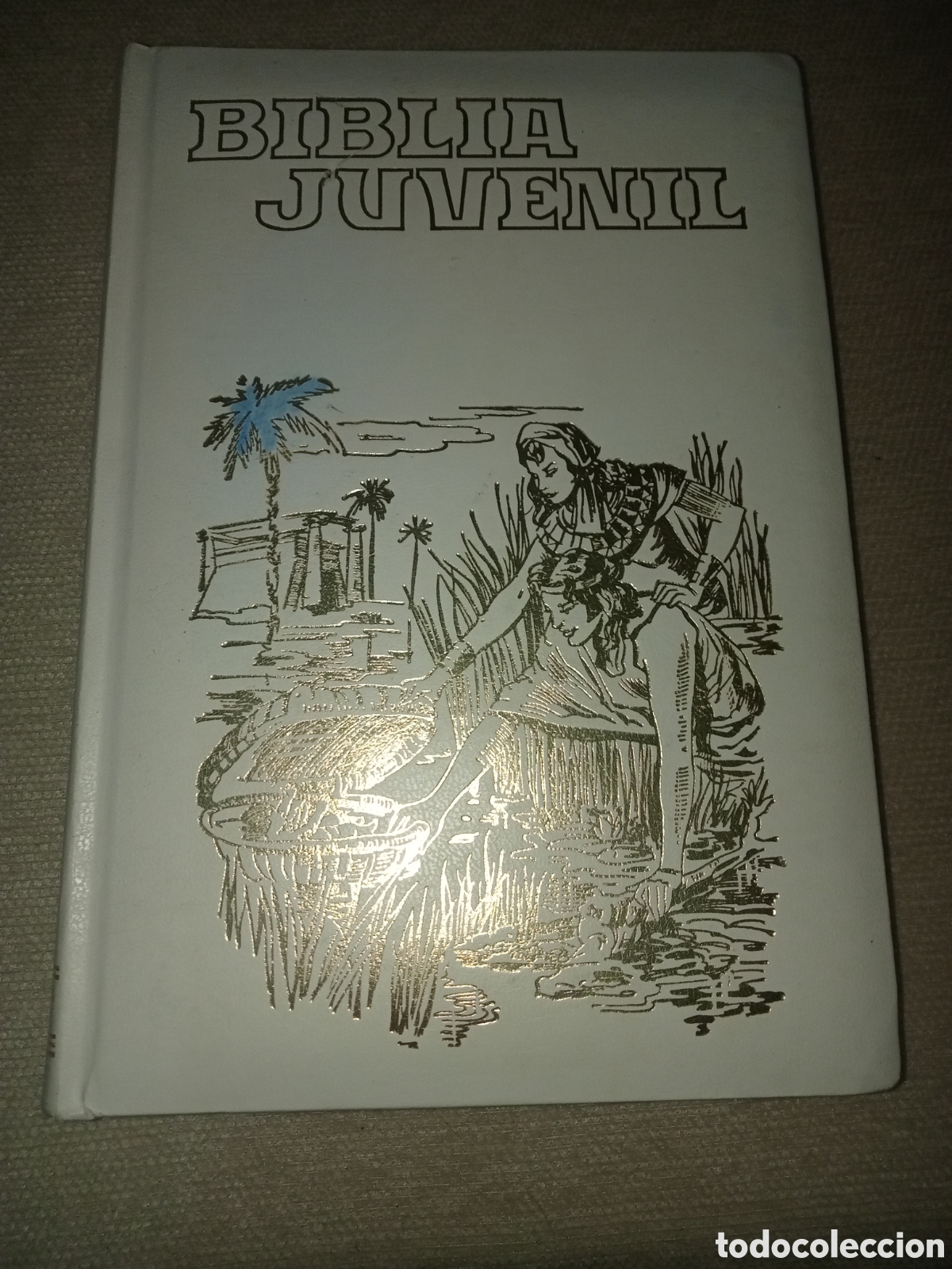 Libros de segunda mano: Biblia juvenil - Foto 1