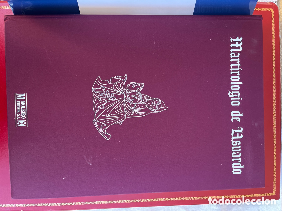 Libros de segunda mano: IP LIBRO MARTIROLOGIO DE USUARD. FACSIMIL MOLEIRO. - Foto 30