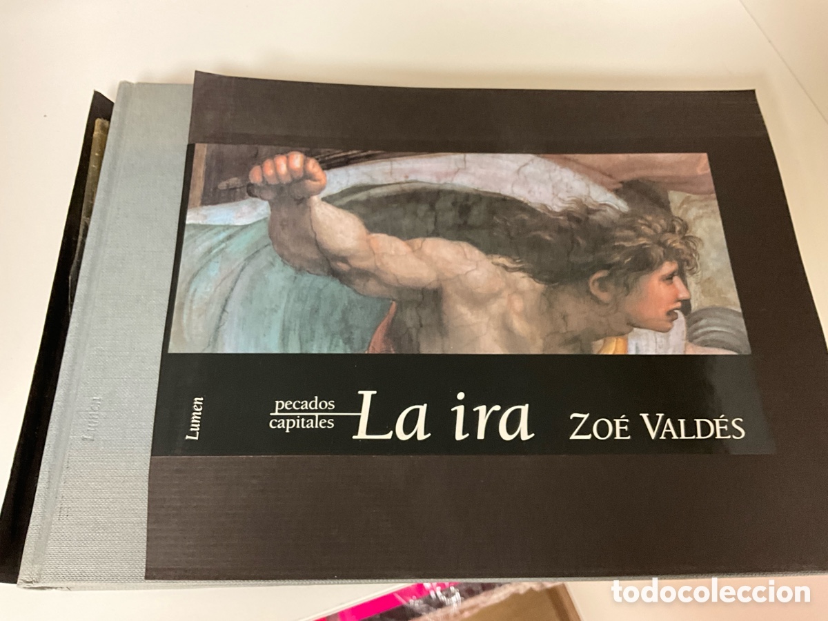 Libros de segunda mano: La ira, Zoe Vald&eacute;s - Foto 1