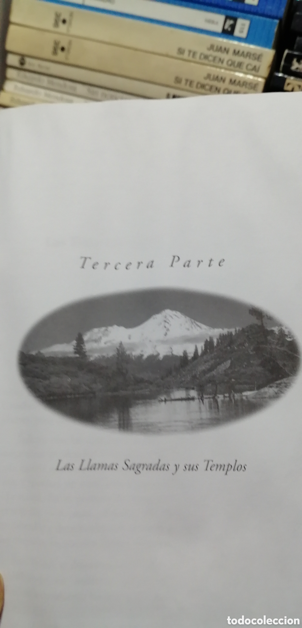 Libros de segunda mano: Telos Libro 3 Protocolos de la 5 dimensi&oacute;n Aurelia Louise Jones - Foto 13