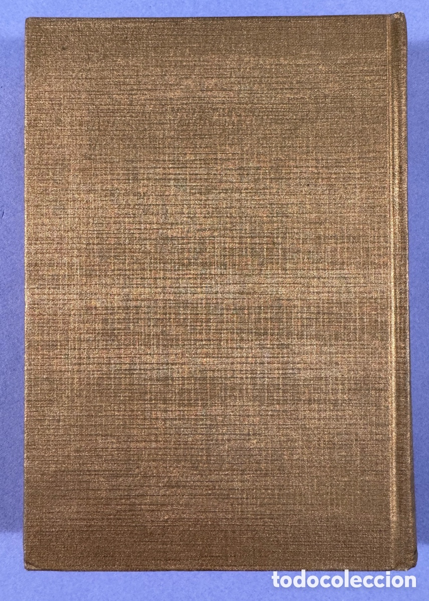 Libros de segunda mano: HOLY BIBLE - PLACED BY THE GIDEONS - HARDBACK - Foto 2