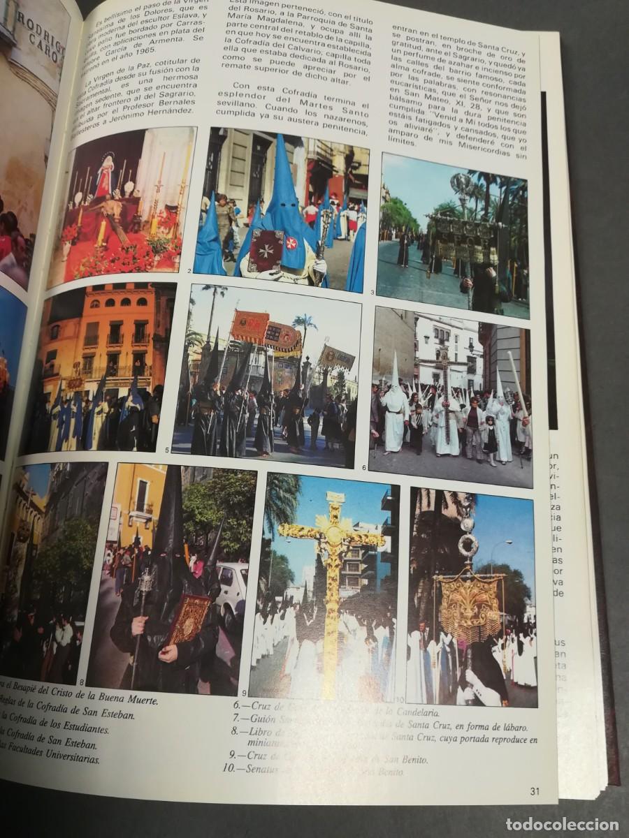 Libros de segunda mano: SEMANA SANTA DE SEVILLA 1980 - Foto 11