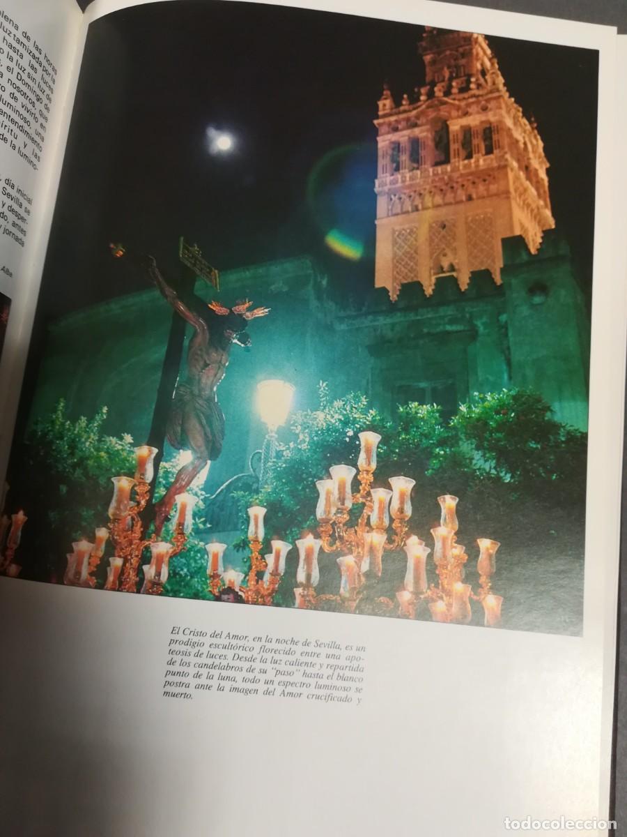 Libros de segunda mano: SEMANA SANTA DE SEVILLA 1980 - Foto 13