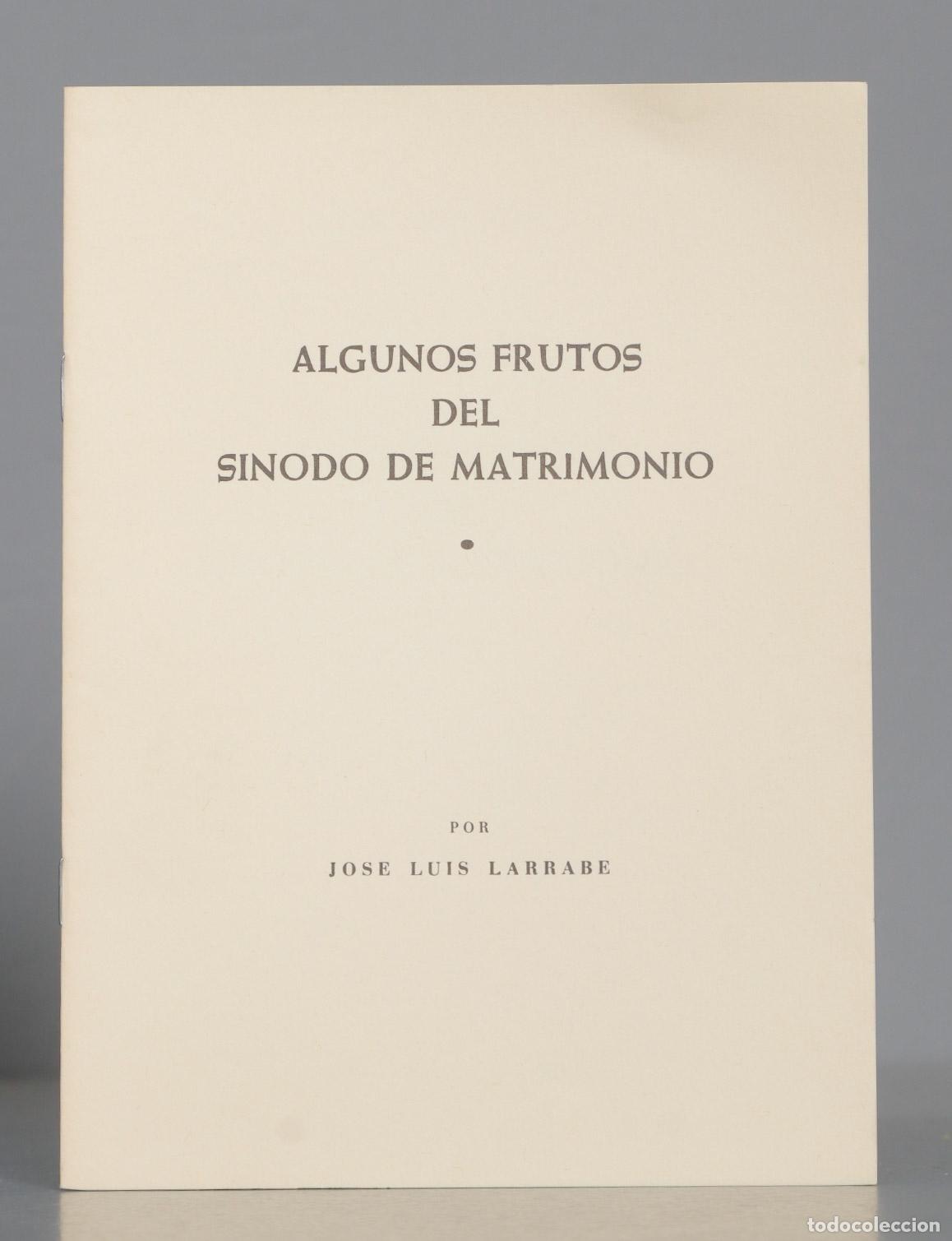 Second hand books: ALGUNOS FRUTOS DEL SINODO DE MATRIMONIO. LARRABE
