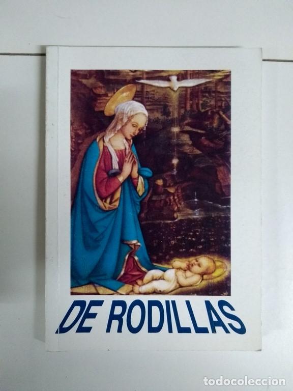 Libros de segunda mano: De rodillas - Alejandro Jim&eacute;nez Alonso - Foto 1