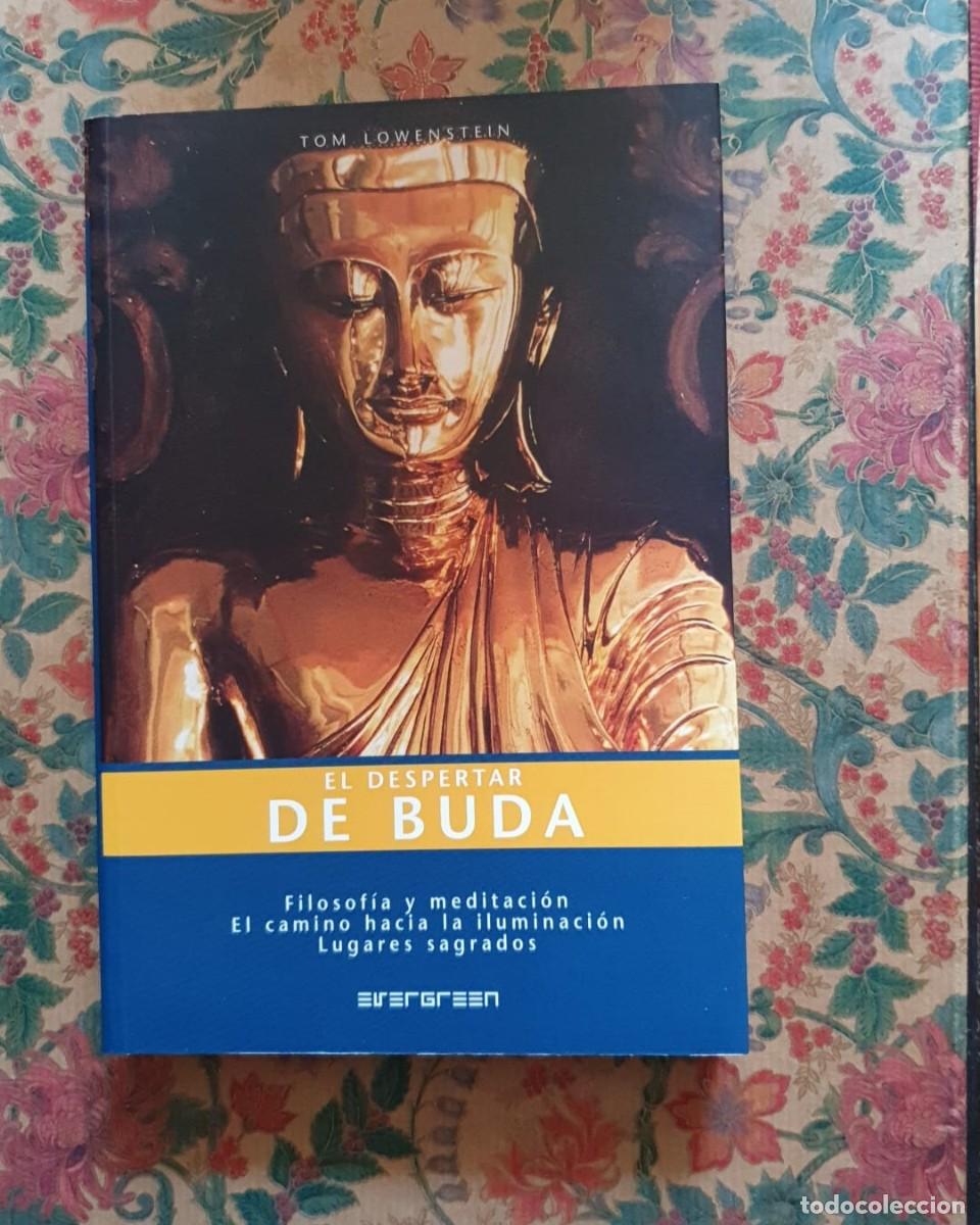 Libros de segunda mano: El Despertar de Buda - Tom Lowenstein - Foto 1