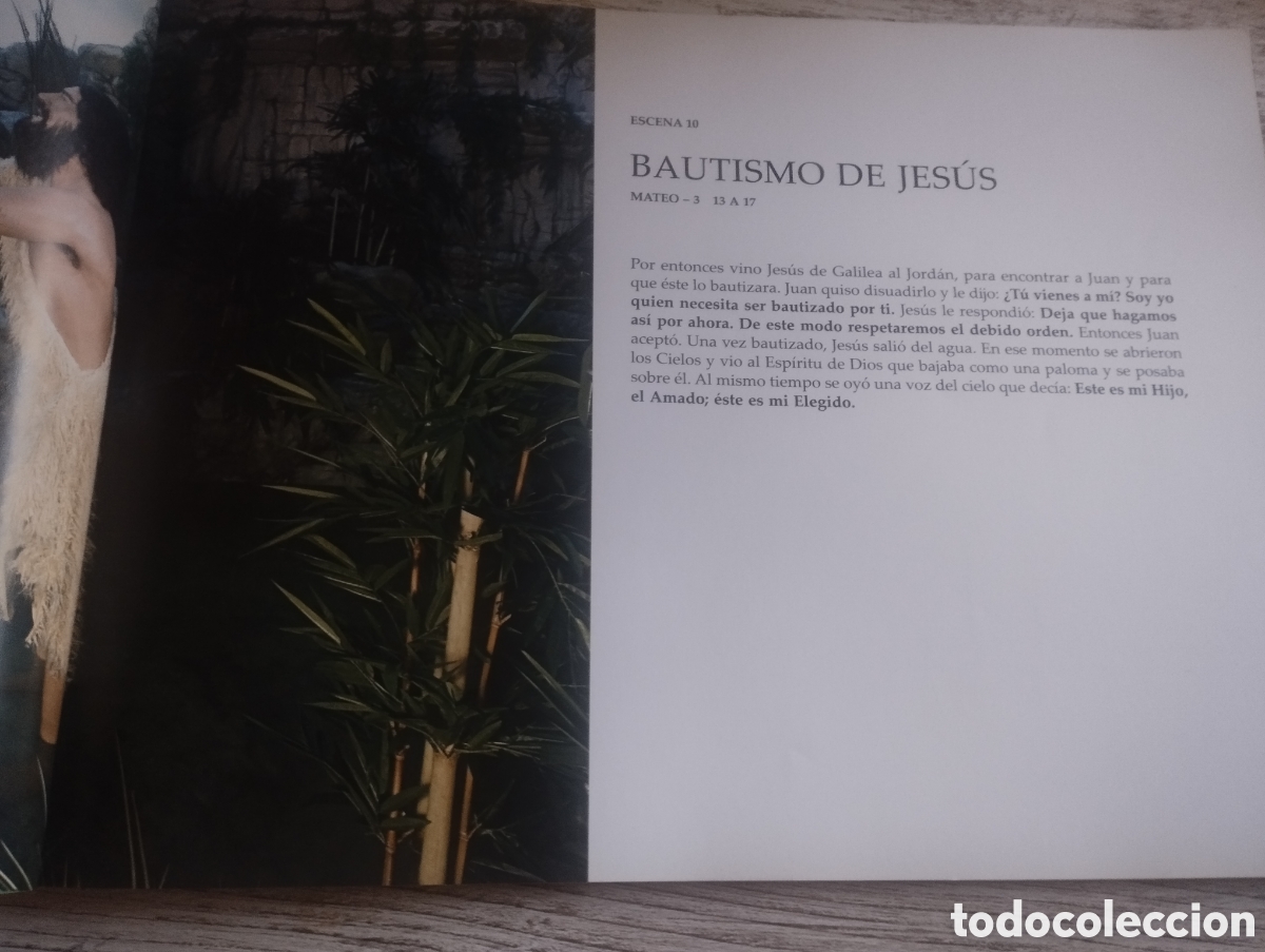 Libros de segunda mano: Libro museu vida de cristo de F&aacute;tima - Foto 4