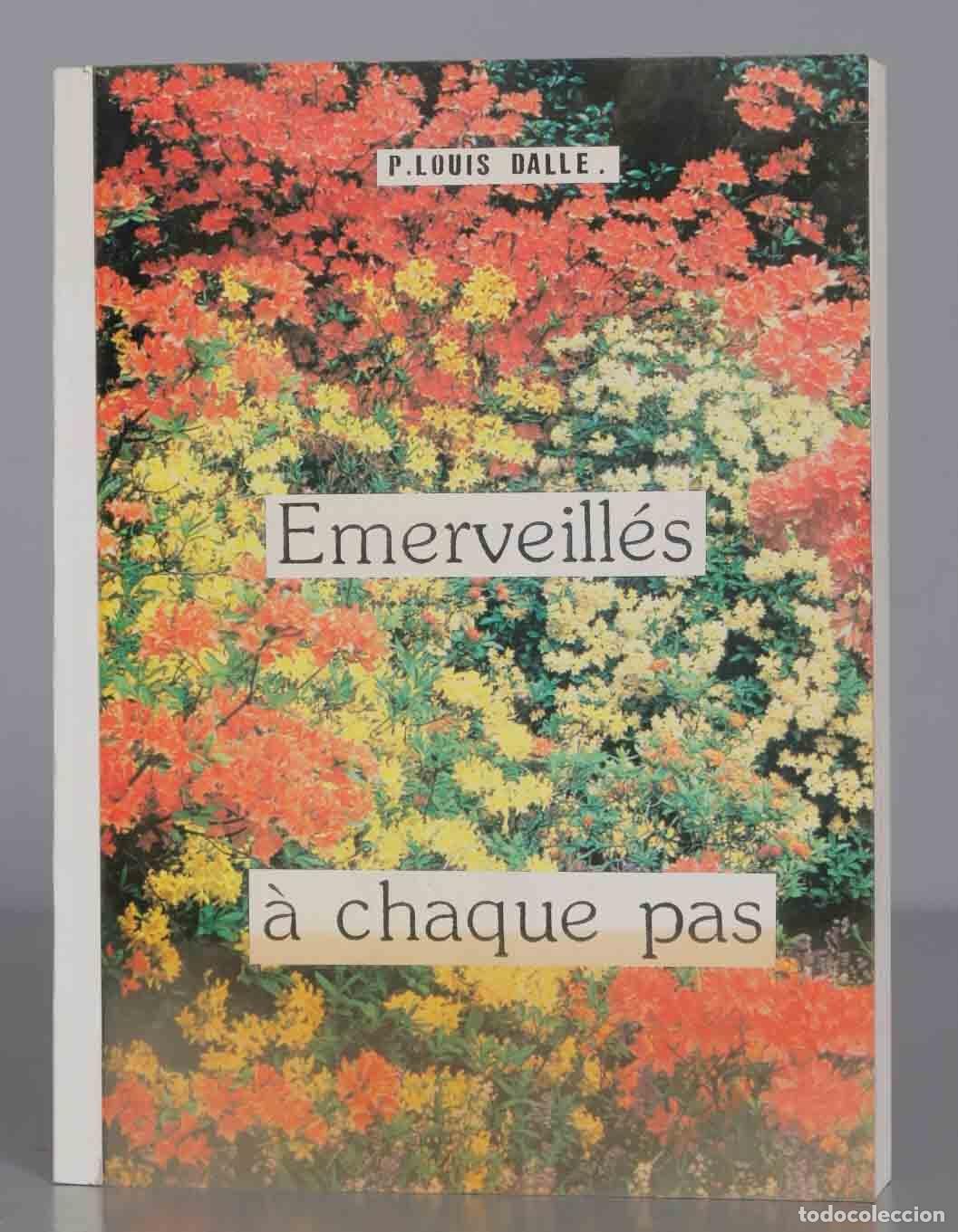 Livres d'occasion: EMERVEILLES A CHAQUE PAS. P. LOUIS DALLE