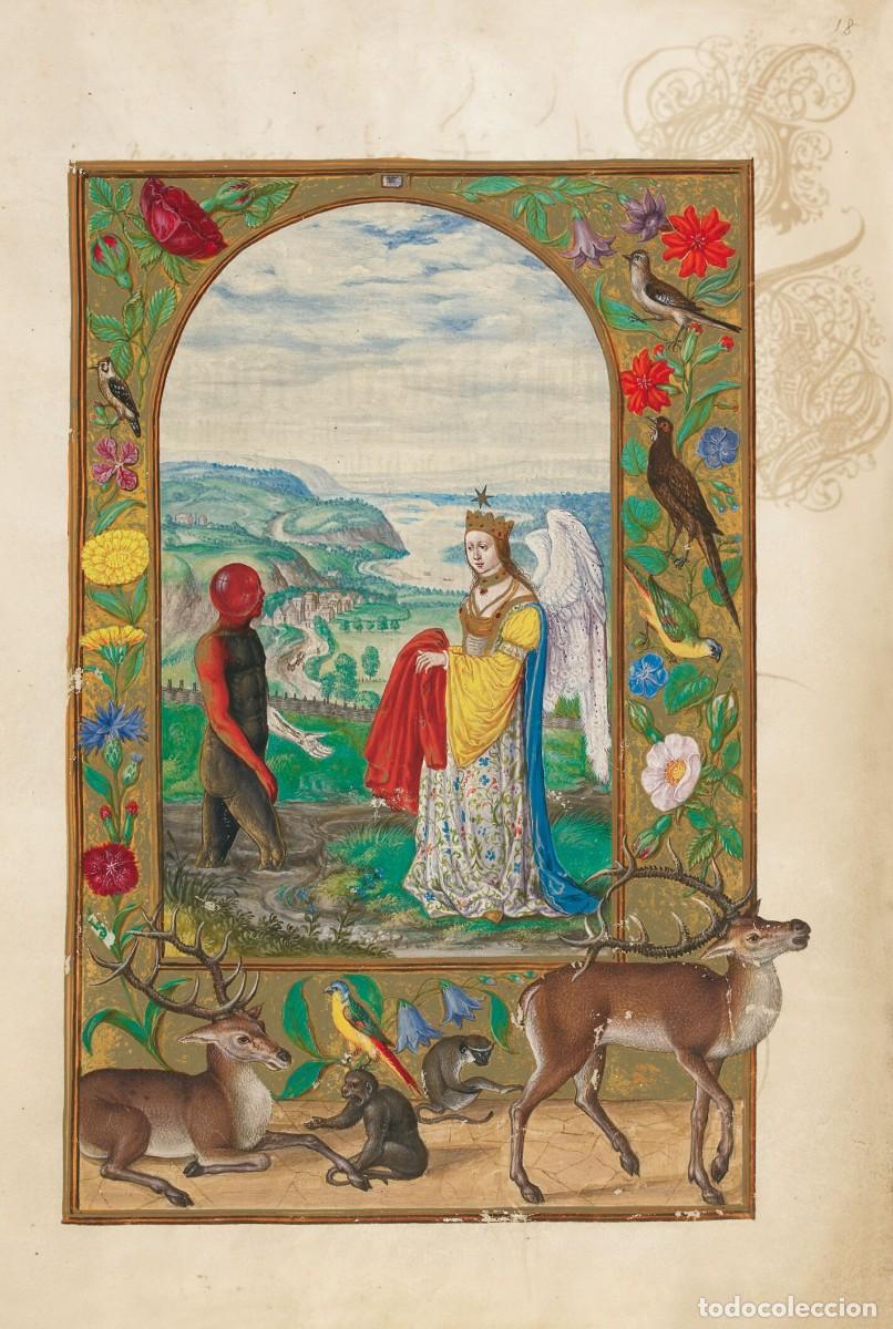 Libros de segunda mano: SPLENDOR SOLIS EDITORIAL MOLEIRO - Foto 9