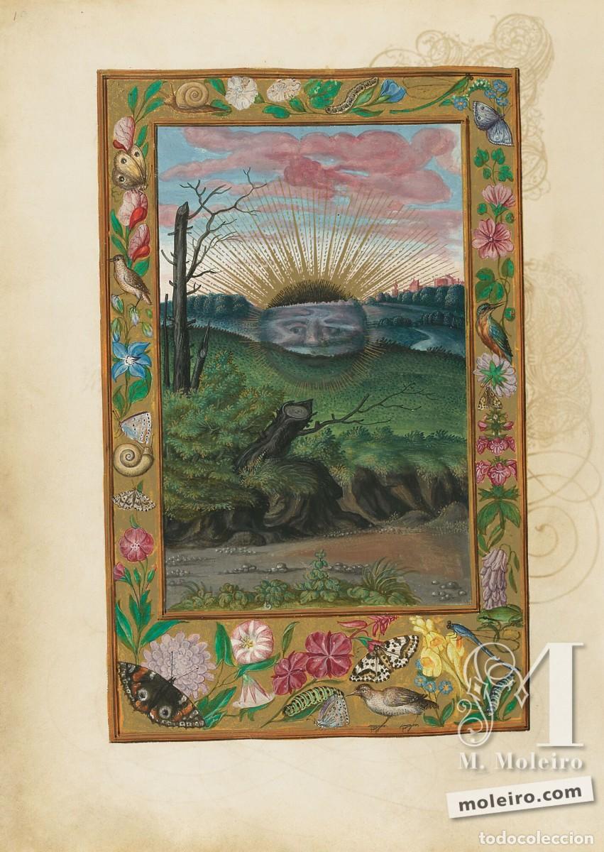 Libros de segunda mano: SPLENDOR SOLIS EDITORIAL MOLEIRO - Foto 17