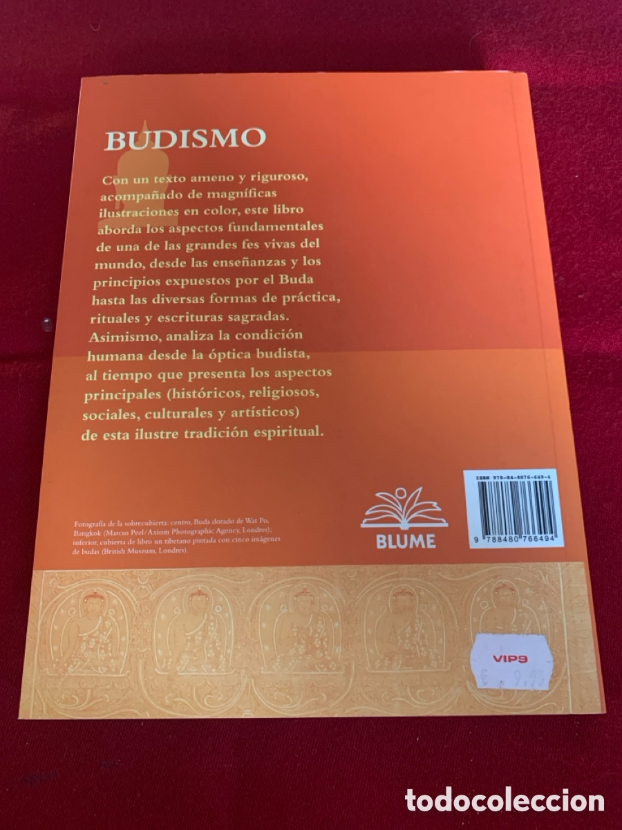 Libros de segunda mano: Budismo. Kevin Trainor. - Foto 3