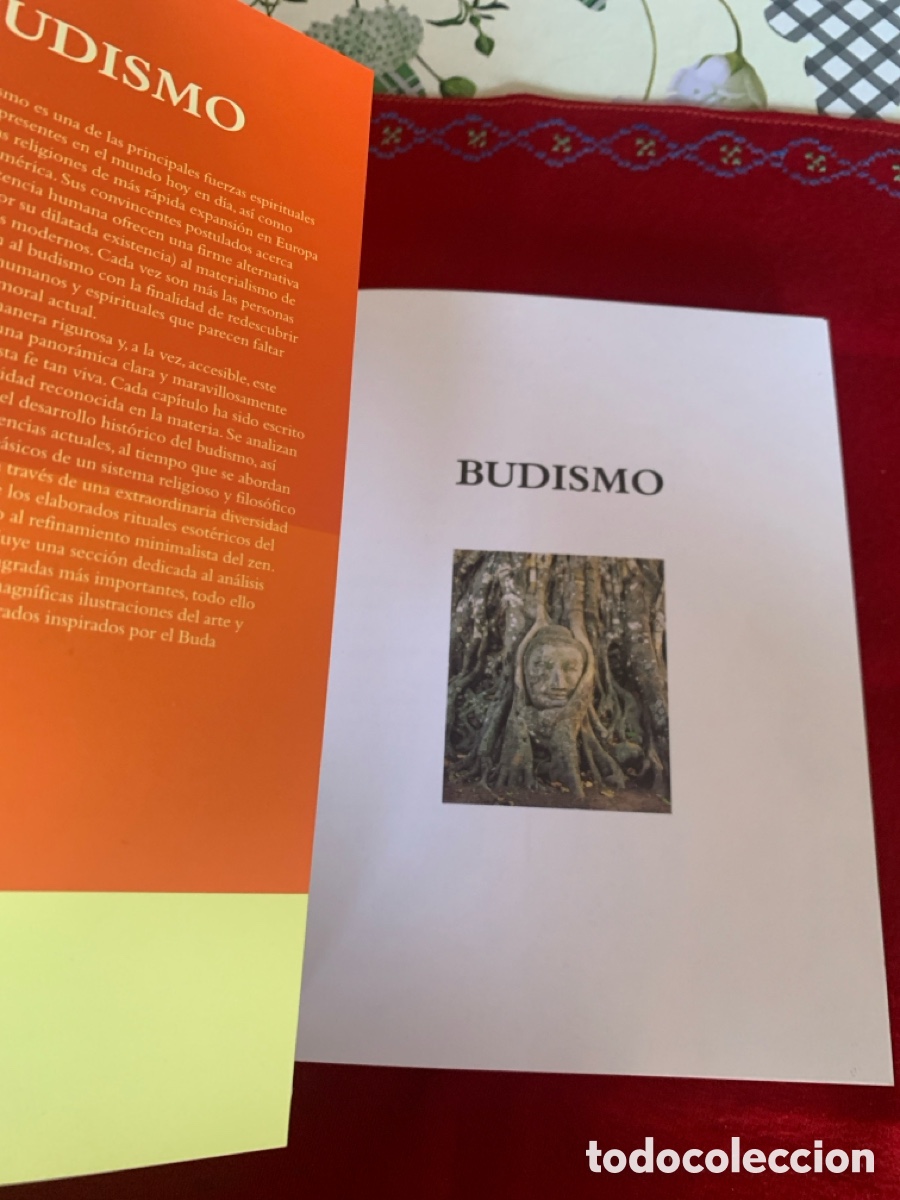 Libros de segunda mano: Budismo. Kevin Trainor. - Foto 4