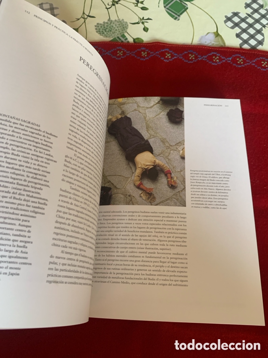 Libros de segunda mano: Budismo. Kevin Trainor. - Foto 9