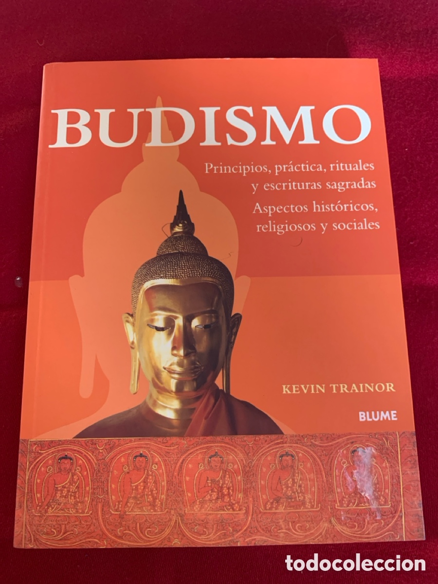 Libros de segunda mano: Budismo. Kevin Trainor. - Foto 1