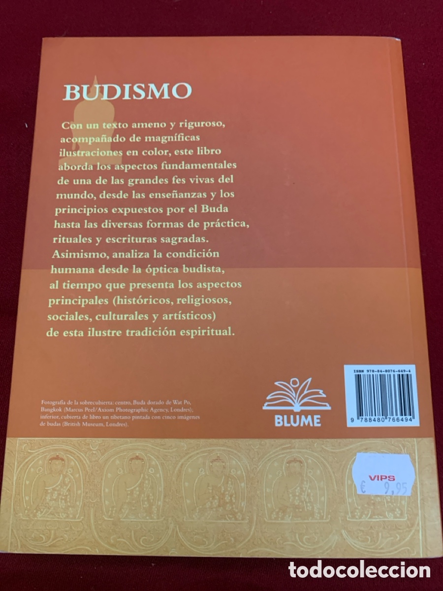Libros de segunda mano: Budismo. Kevin Trainor. - Foto 2