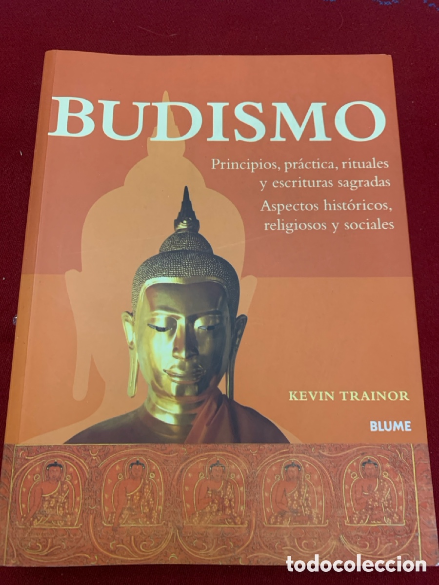 Libros de segunda mano: Budismo. Kevin Trainor. - Foto 1